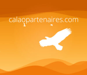 LABEL-FEACTURE-CALAO